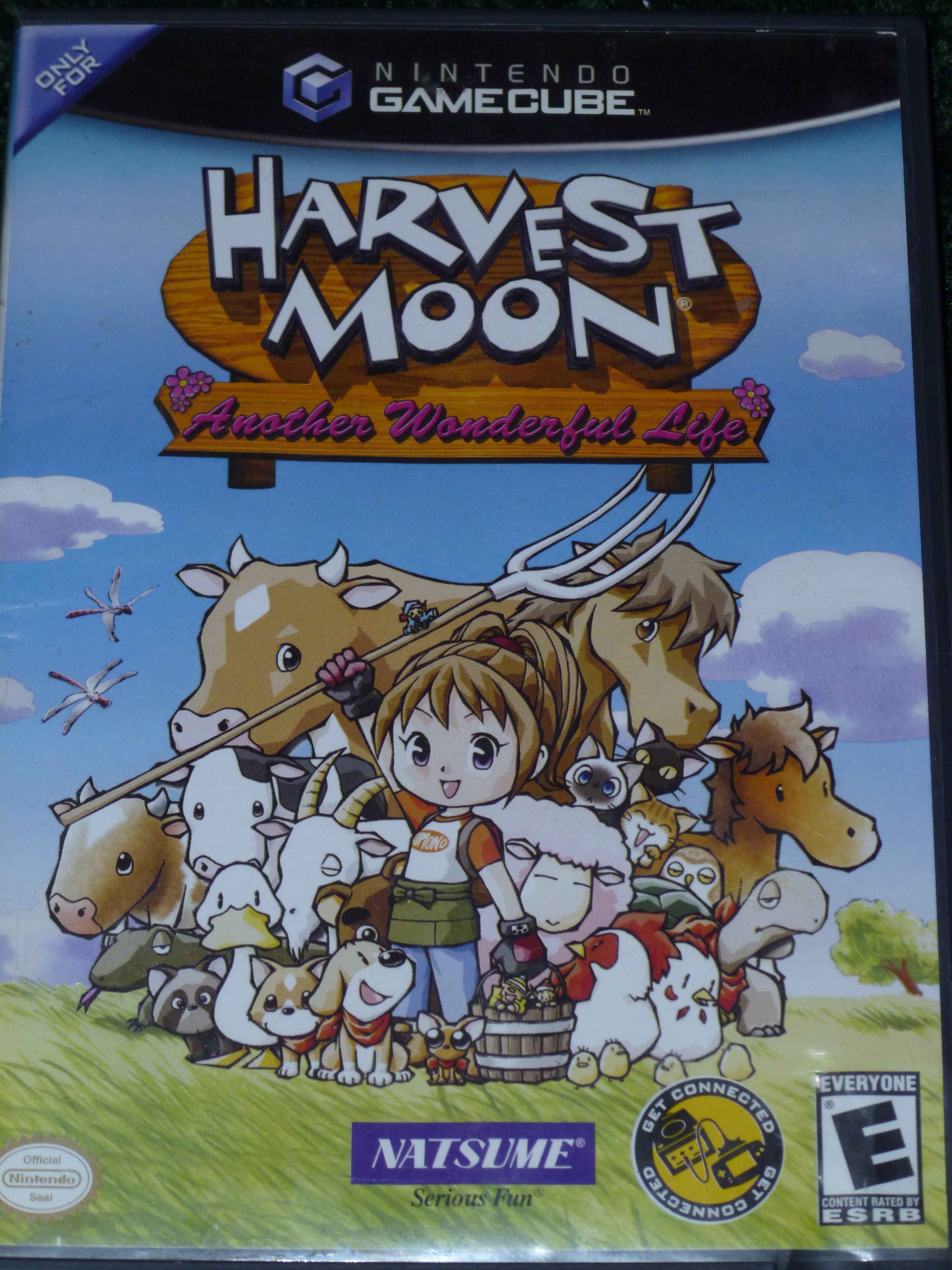 gamecube harvest moon coloring pages - photo #7